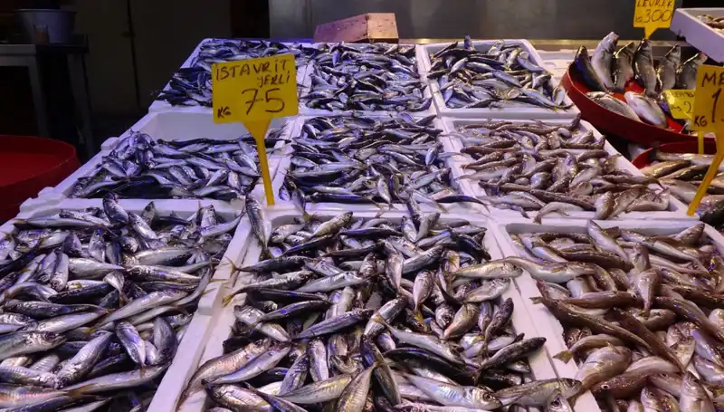 Balık Sezonunun Sonuna Gelirken Tutku ve Hüzün Dolu Günler