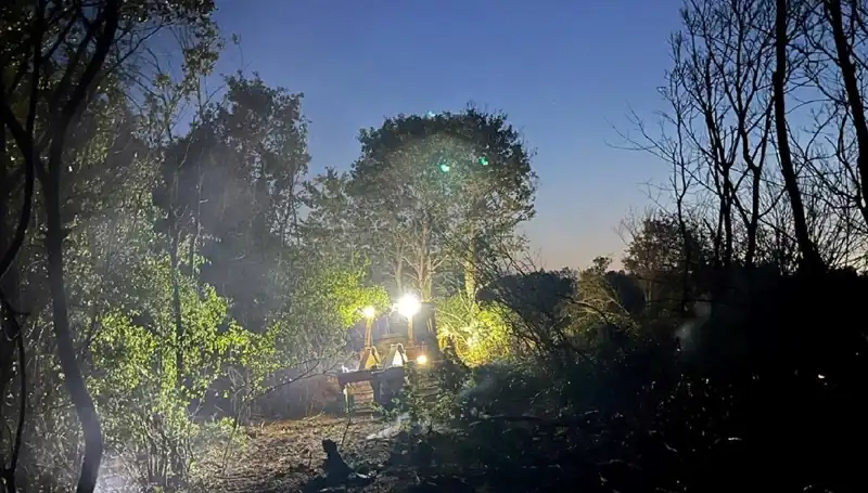 Edirne'de Korkutan Orman Yangını Tamamen Kontrol Altına Alındı
