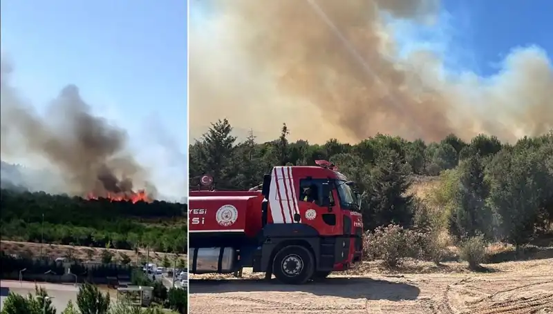 Gebze’deki Orman Yangını Büyüyor: Müdahale ve Tehlikeler Neler?