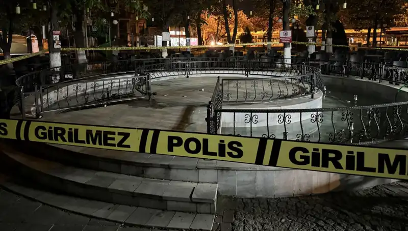 Kırklareli'nde Süs Havuzu Kabusu: Dört Kişi Hastanelik Oldu