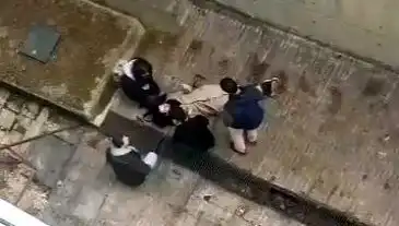 Kampüste Köpek Paniği: Bir Öğrenci 4 Metreden Betona Düştü!