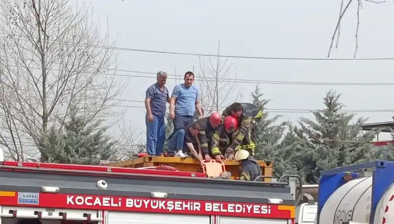 Tehlikeli Madde Taşıyan TIR’ın Tankı Boşaldı, Şok Edici Olay!