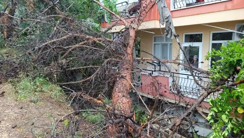 ** Yağmur Sonrası Korkunç Göçük: Bina Yıkıldı!