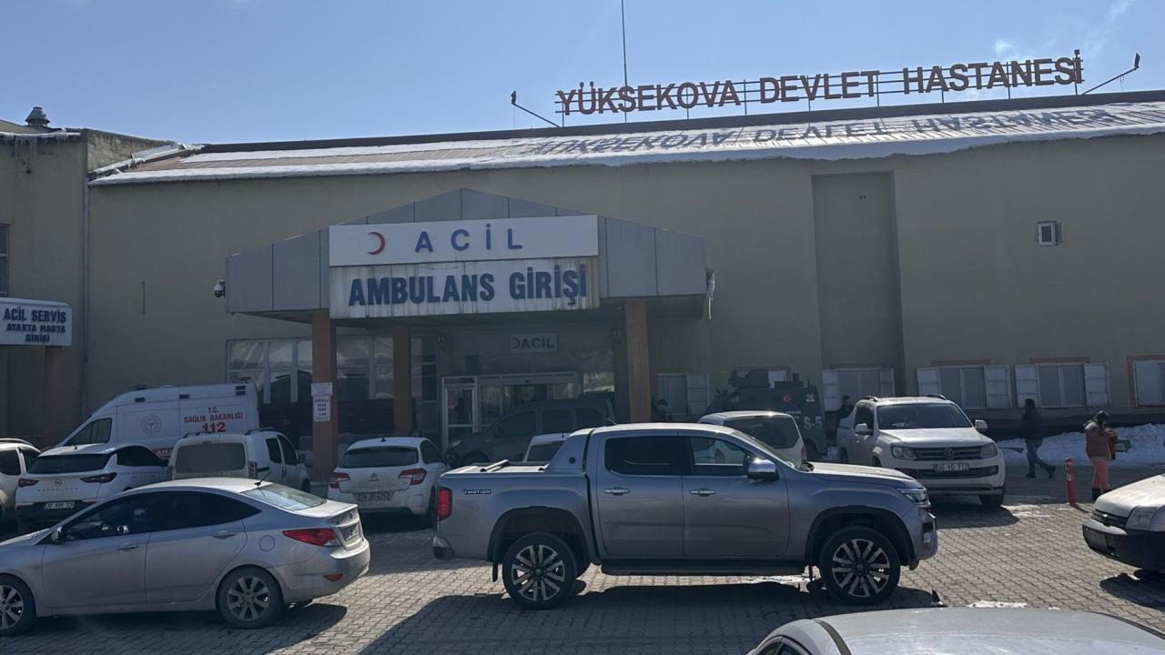 Müfettişten başıboş köpek saldırısıyla ilgili soruşturma