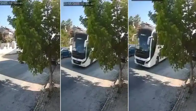 Yolda Yatan Köpeği Ezip Geçen Şoför, Hayvan Haklarını Gündeme Taşıdı!