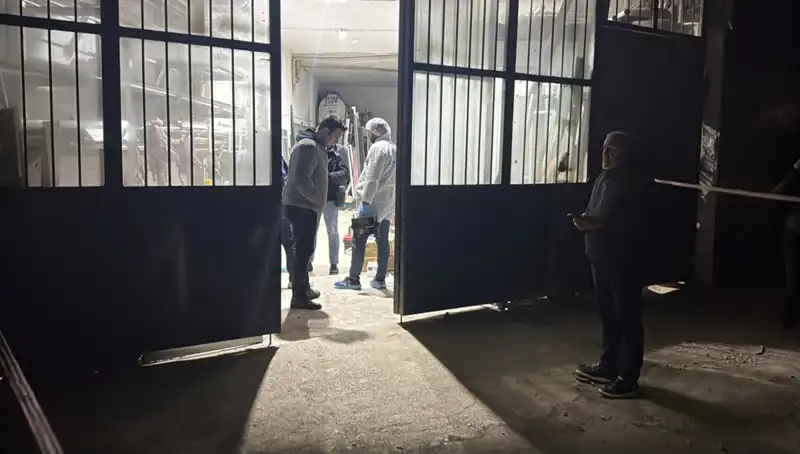İş Yerinde Yaşanan Korkunç Cinayet: Gerçekler ve Caniyle Yüzleşme