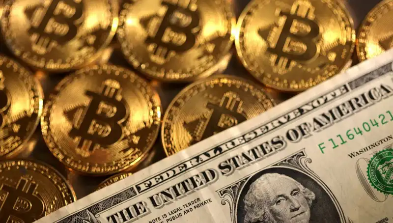 Kripto Fonları Neden 4,75 Milyar Dolar Kaybetti? İşte Sebepleri!