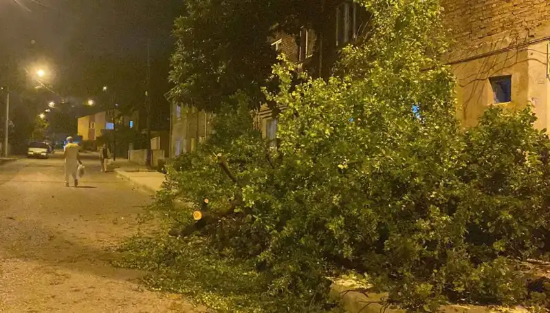 Karabük’te Fırtına Sonrası Yaşanan Zararlar ve Kurtarma Çalışmaları
