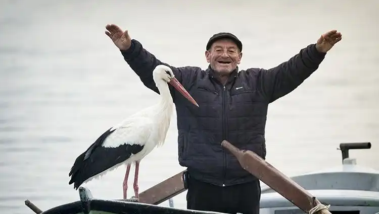 Doğa Fotoğrafçısı Alper Tüydeş Yaren Leylek’in Gelen Gelişini Açıkladı