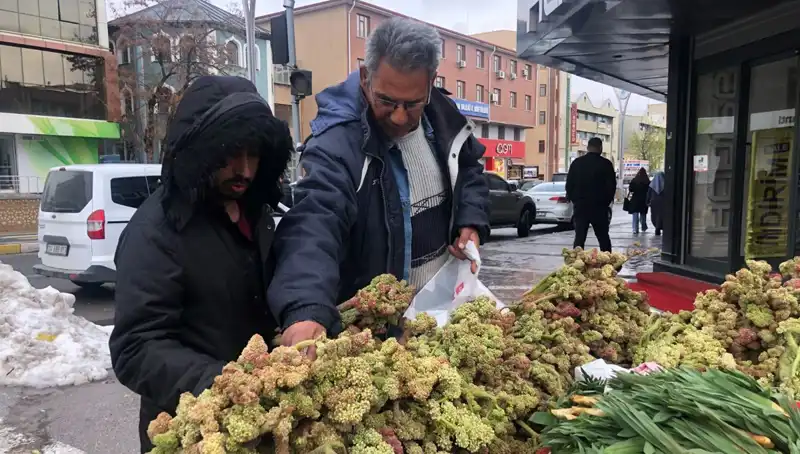 Kendiliğinden Yetişen Vitamin Deposunun Sağlıkta Devrim Yaratması