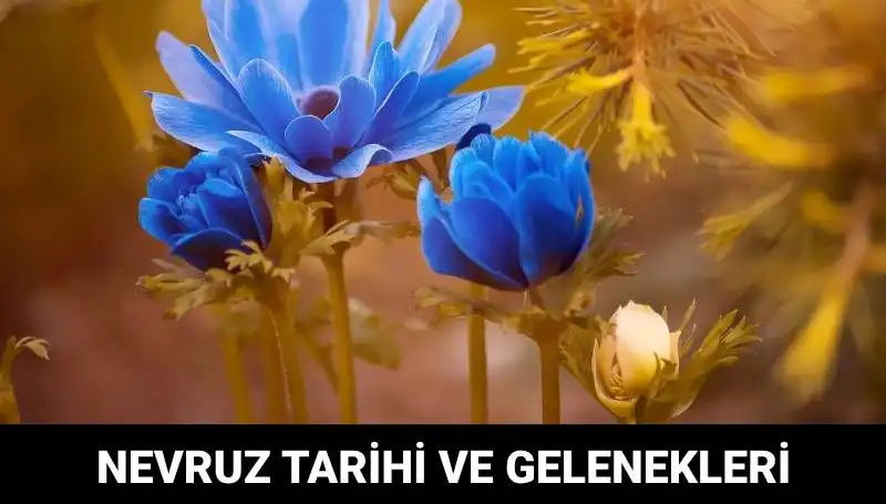 Nevruz Bayramı: Gelenekler, Kutlamalar ve Tarihsel Önemi Hakkında Her Şey