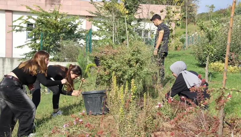 Düzce’den Dünyaya Yayılan Başarı Hikayesi: Hayal Gerçek Oldu